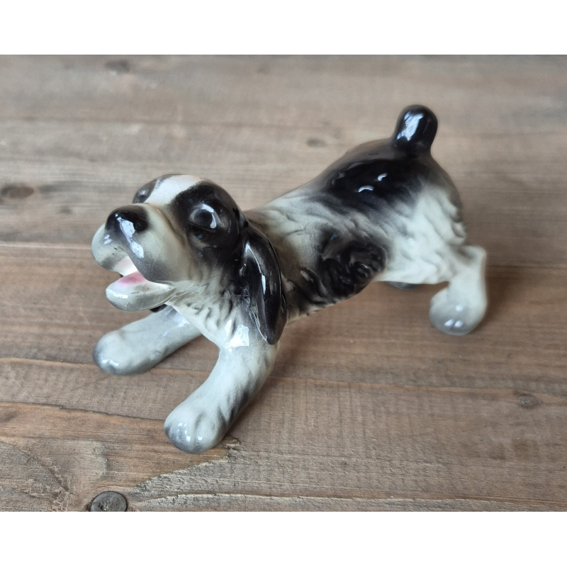 Cocker Spaniël Goebel