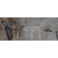 Prachtig Azteekse Maya muurmasker