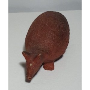 Terracotta gordeldier